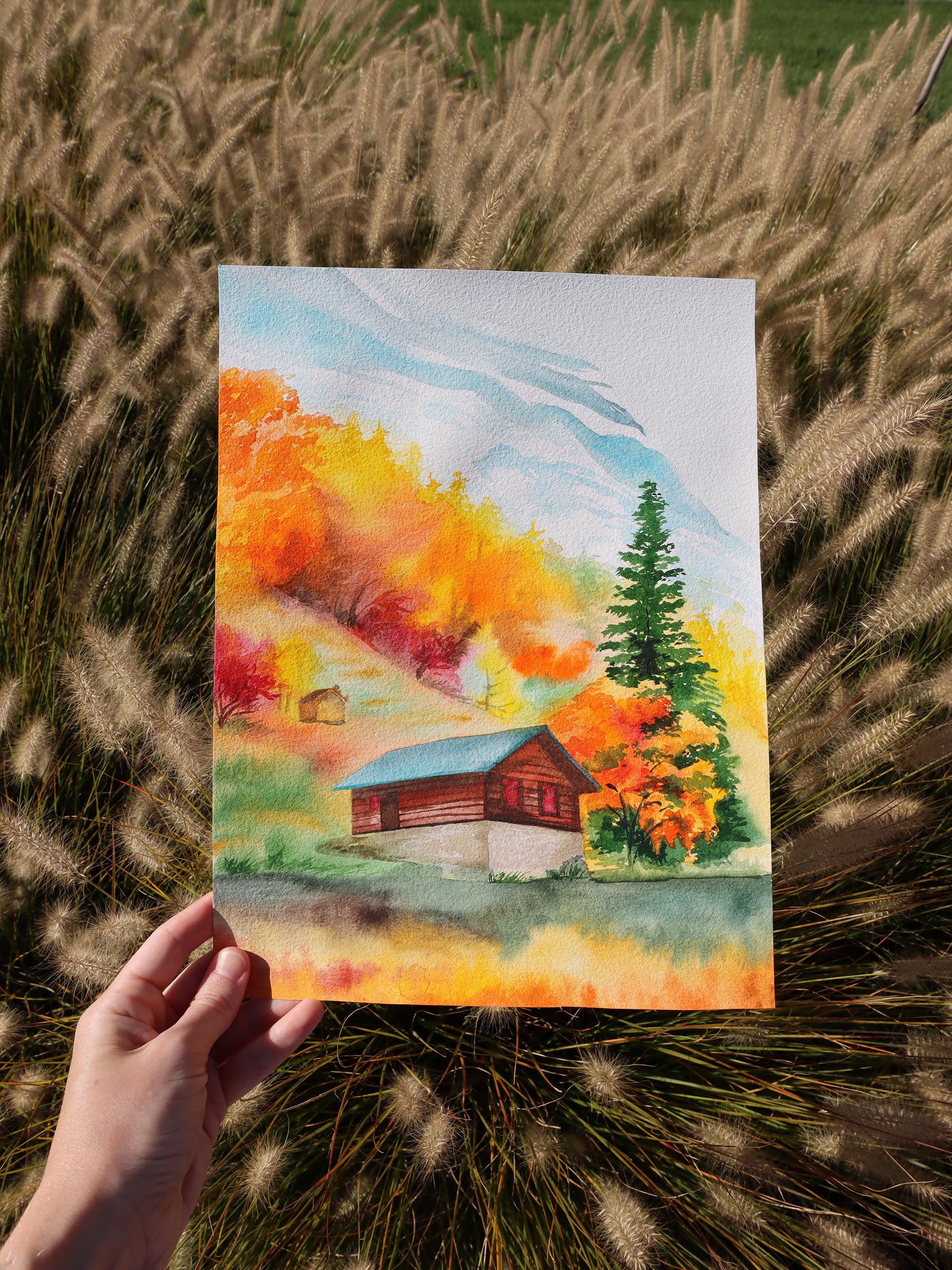 Amber Sleep of the Woods