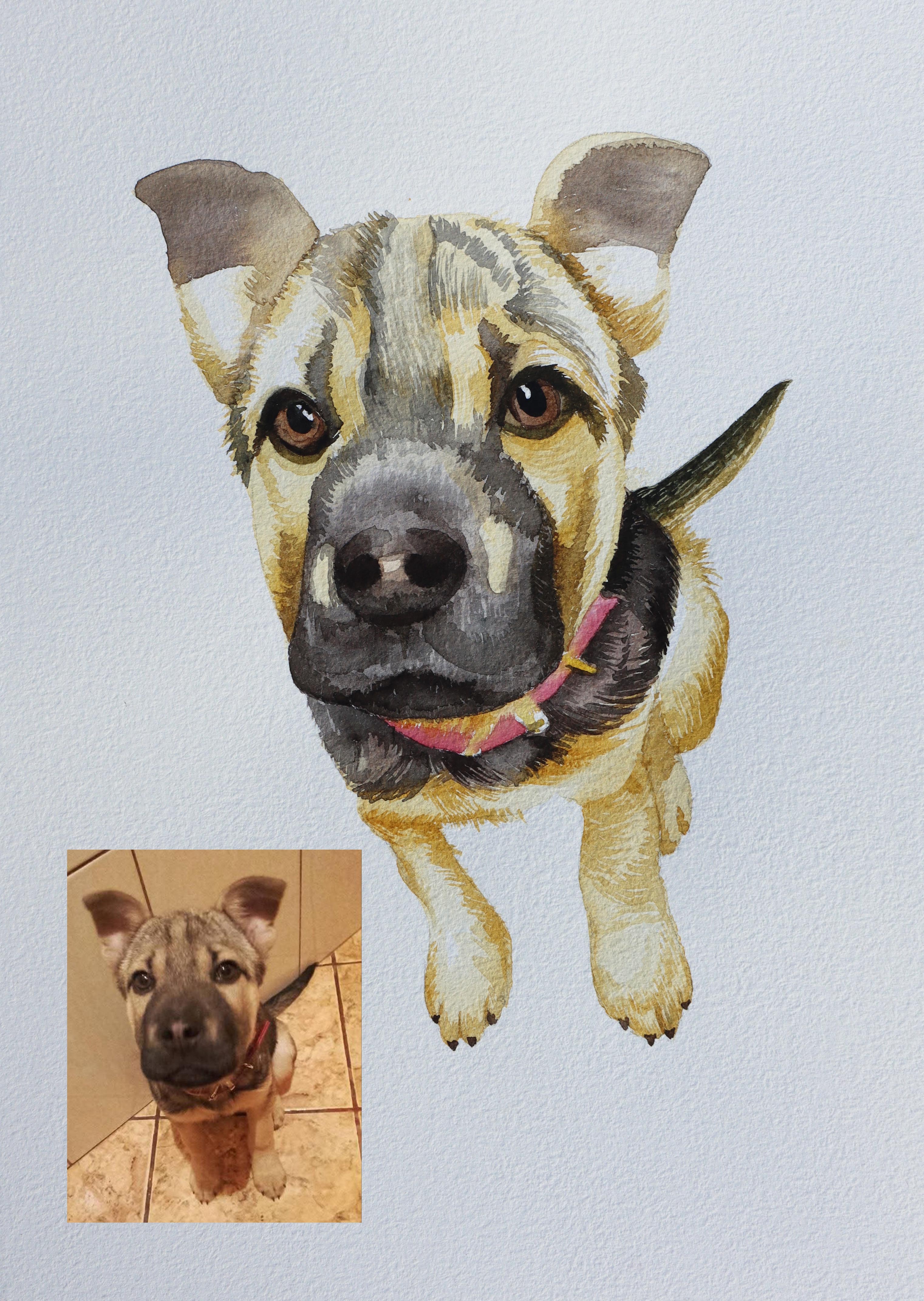 Custom Watercolor Pet Portrait from Photo